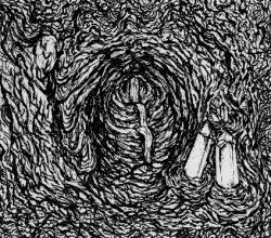 Barn Owl : Transfiguration